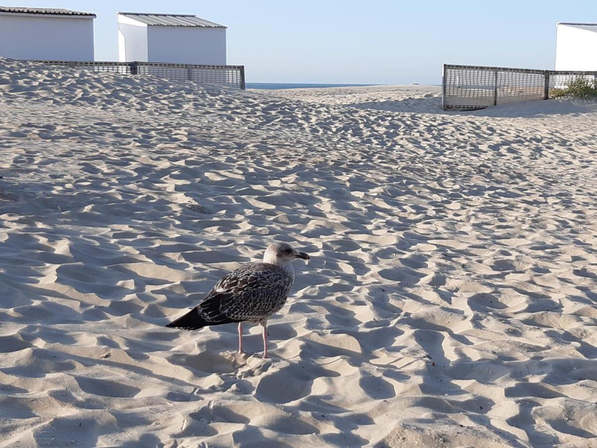 Nieuwpoort Marjolaine Prachtig Zeezicht - 4De Verdiep -Op De Dijk 5Pers Экстерьер фото